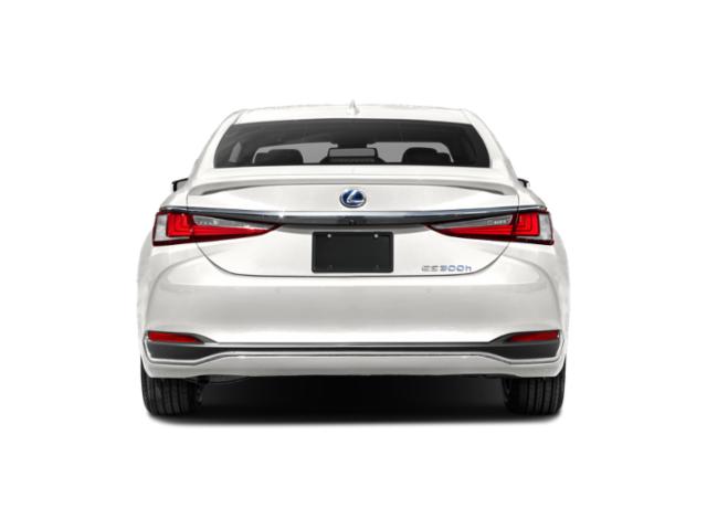 2022 Lexus ES 300h 300h