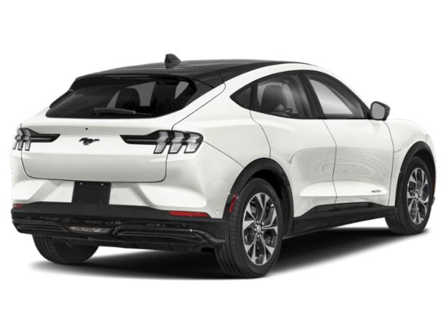 2023 Ford Mustang Mach-E Premium 2023 Ford Mustang Mach-E Premium