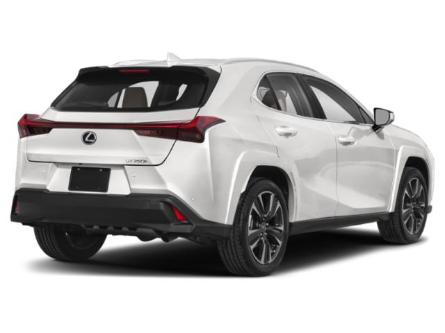 2023 Lexus UX 250h Premium