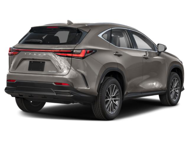 2023 Lexus NX 250 Premium