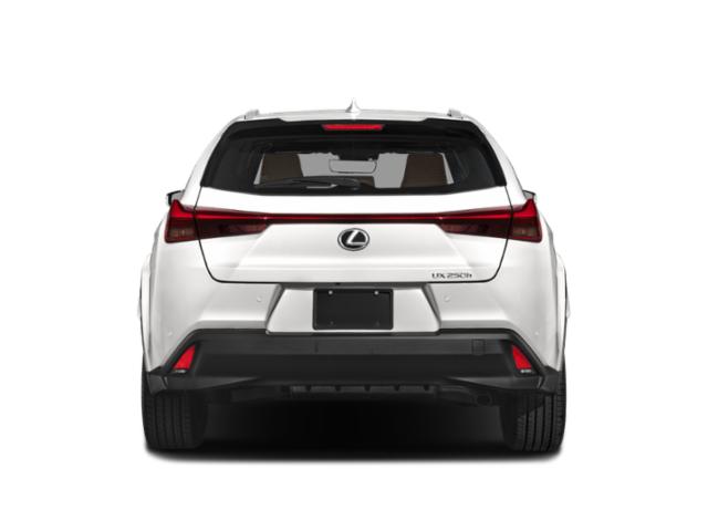 2024 Lexus UX 250h Premium