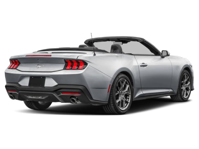 2025 Ford Mustang EcoBoost Convertible 2025 Ford Mustang EcoBoost Convertible