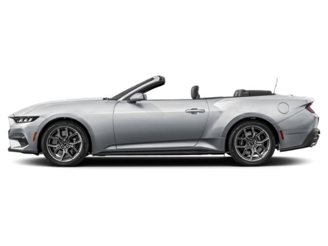 2025 Ford Mustang EcoBoost Convertible 2025 Ford Mustang EcoBoost Convertible