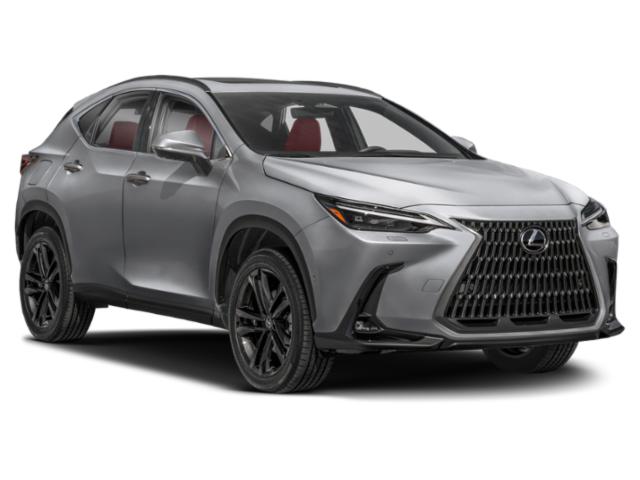 2025 Lexus NX Luxury