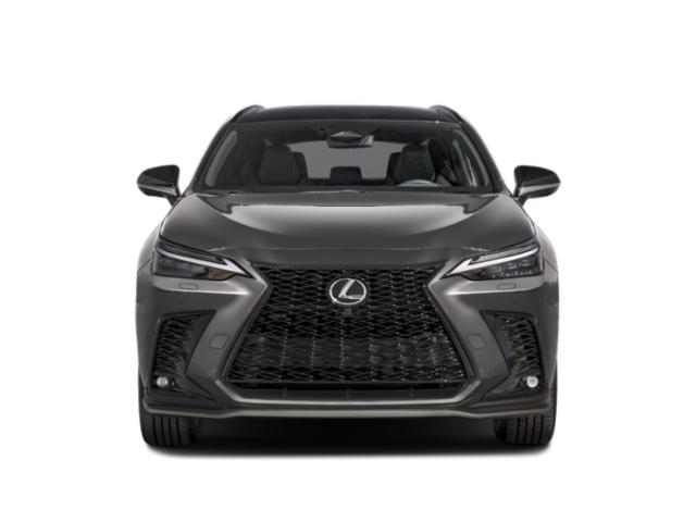 2025 Lexus NX Luxury