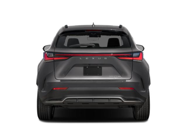 2025 Lexus NX Luxury