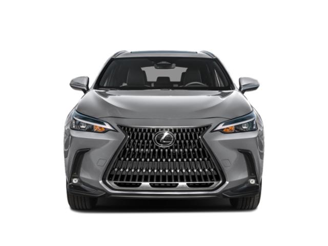 2025 Lexus NX Premium