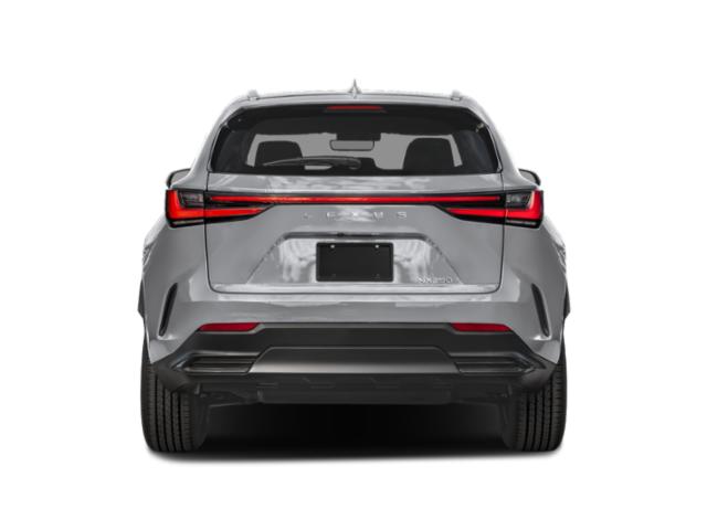 2025 Lexus NX Premium