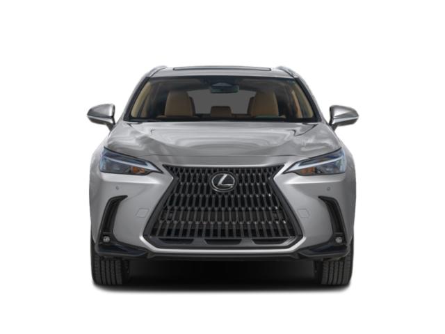 2025 Lexus NX Premium