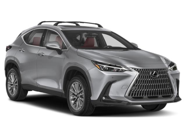 2025 Lexus NX 350 Luxury