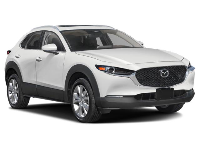 2025 Mazda CX-30 2.5 S Premium Package