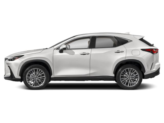 New 2025 Lexus NX Luxury for sale in Durham, NC - JTJHKCEZ6S2041405